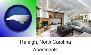 Raleigh, North Carolina - a living room in a luxury apartment