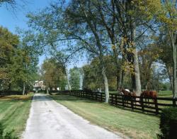 kentucky horse farm