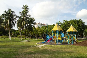 a tropical park playground