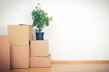 an unfurnished apartment with moving boxes