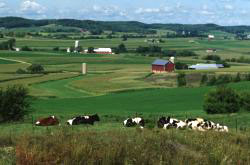 wisconsin dairy farm