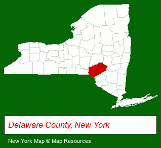 New York map, showing the general location of Delaware County Real Estate