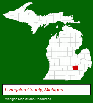 Michigan map, showing the general location of Remax Property Brokers
